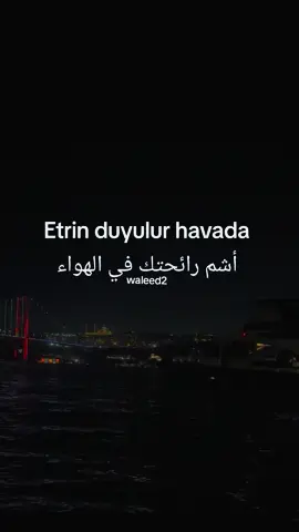 الغنيه ادمان ماعم تطلع من راسي Etrin duyulur havada  أشم رائحتك في الهواء #istanbul #explore #f #اغاني_تركيه_مترجمه #اكسبور_متابعة_لايك 