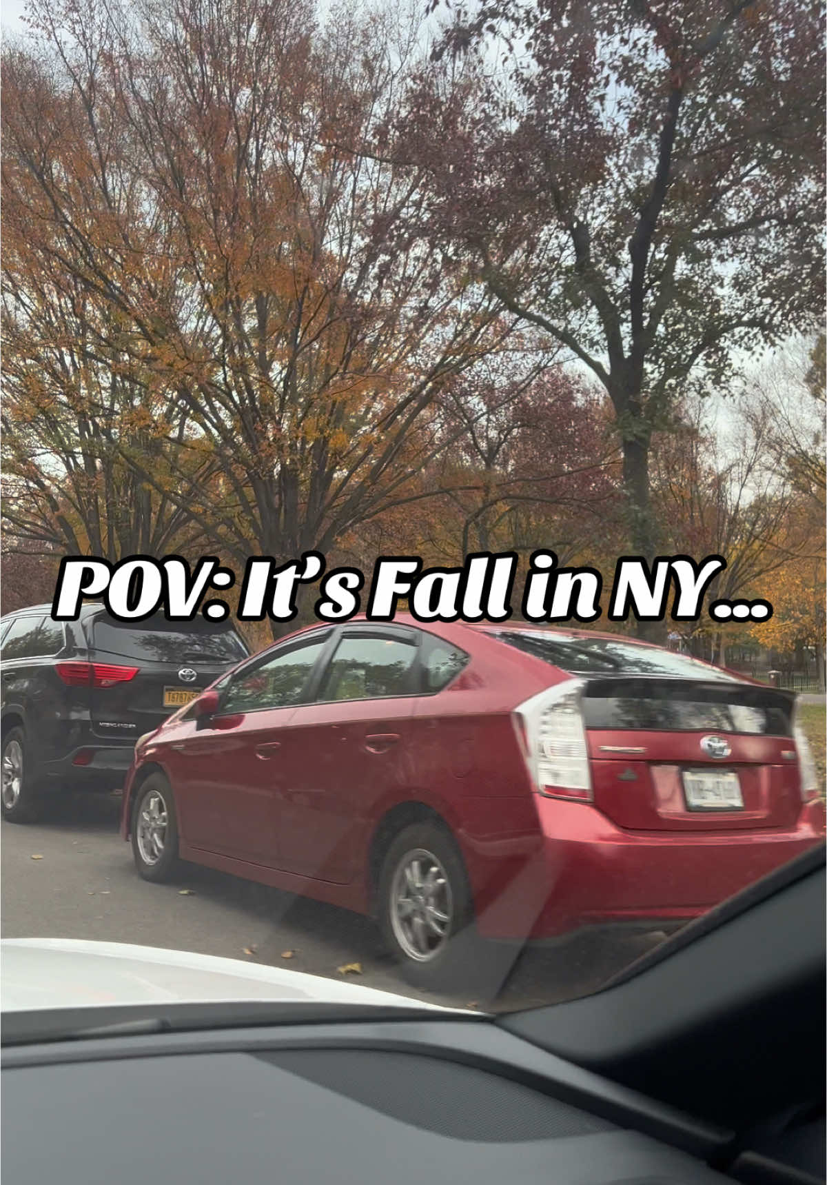 Fall in New York is really amazing if we’re keeping it a hundo…