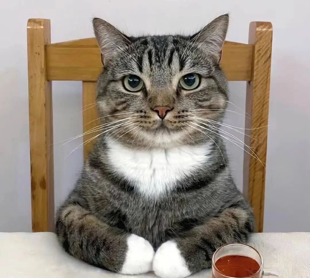 #anime #hot #fyp #waifu #cute 