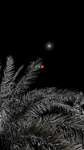 میں ہمیشہ سے ایک مستقبل کے خوف کا شکار انسان رہا ہوں۔۔ اپنے اتوار سوموار کے آنے کے خوف میں ضائع کر دینے والا انسان ہوں۔ میں ہمیشہ کل کیا ہوگا اور میں یہ کیسے کرونگا سوچنے والا انسان ہوں، #unfrezmyaccount #growmyaccount #viraltiktok #standwithkashmir #foryoupage 