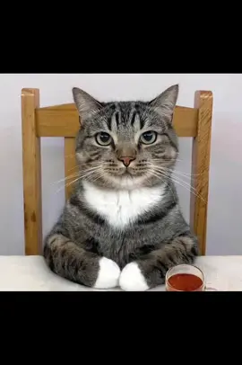 тгк: oboyaka #anime #hot #fyp #waifu #cute 