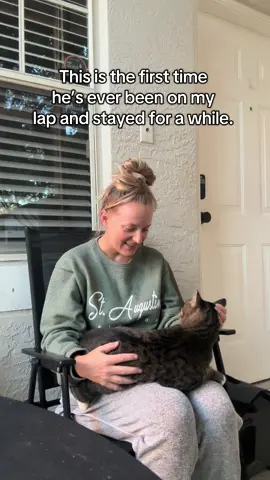 My stray kitty Nash, that’s slowly getting more and more comfortable with me. This is so exciting when you have been patient for almost an entire year. He started with barley allowing me to step towards him 🥰 #straycat #foryoupage #fypシ #catsoftiktok #Love 