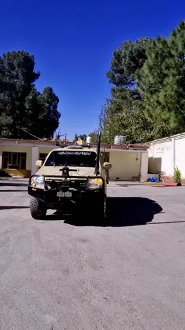 Masir...!!🥰 #creatorsearchinsights #viral #trending #tiktok #foryou 