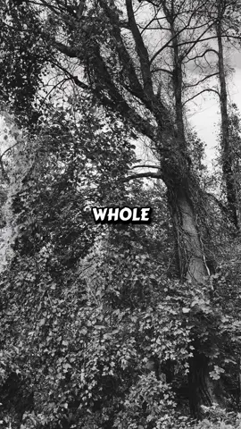 To all the fathers doing their best even on the hardest days: we see you, and you’re doing an amazing job. #foryou #positivity #dadlife #rodjhundotcom 