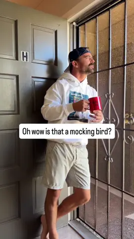 Stupid mockingbird #dadjokes