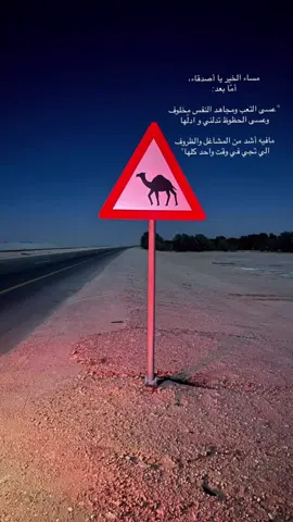 #وادي_الدواسر🤍📍 #تصويري_ليلي #قصيد 