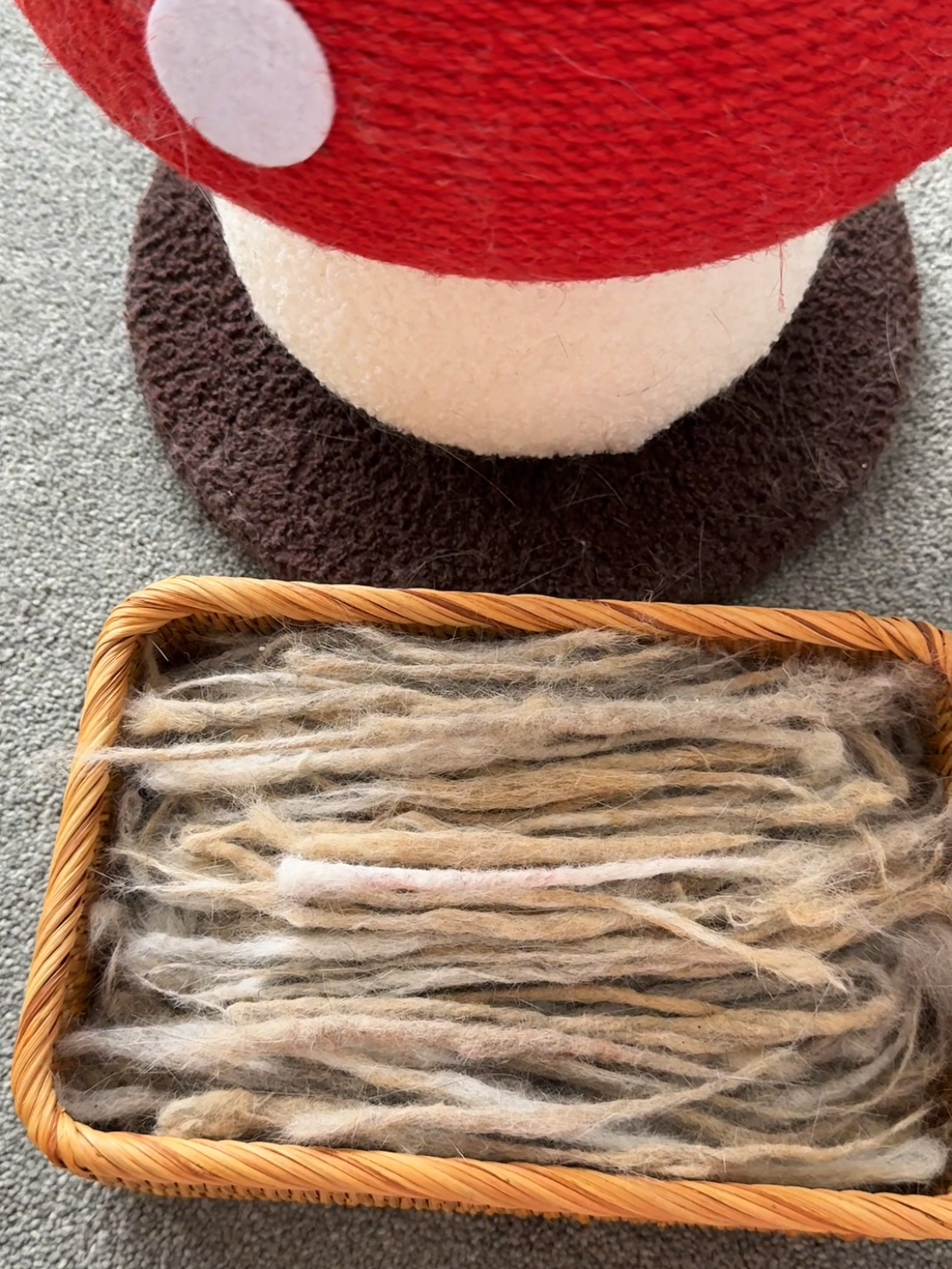 Não espalhem esse segredo 🤫#fy #fyp #casa #roupa #pet 