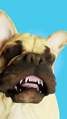 المخاطر الخطيرة لتربية كلاب البولدوغ! 😥🐶 وشخص يتعرّض لخدعة غريبة من شركة بيبسي! 😳🥤 📌 الوصف  : تربية كلاب البولدوغ تحمل مخاطر صحية لا يعرفها الكثير! 😥🐶 وفي قصة غريبة… شخص يتعرض لخدعة غير متوقعة من شركة مشهورة! 😳🥤 معلومات مهمة وغرائب ممتعة في فيديو واحد! 🔥 📌 الهاشتاغات: #CapCut #معلومات #غرائب #كلاب #اكسبلور 
