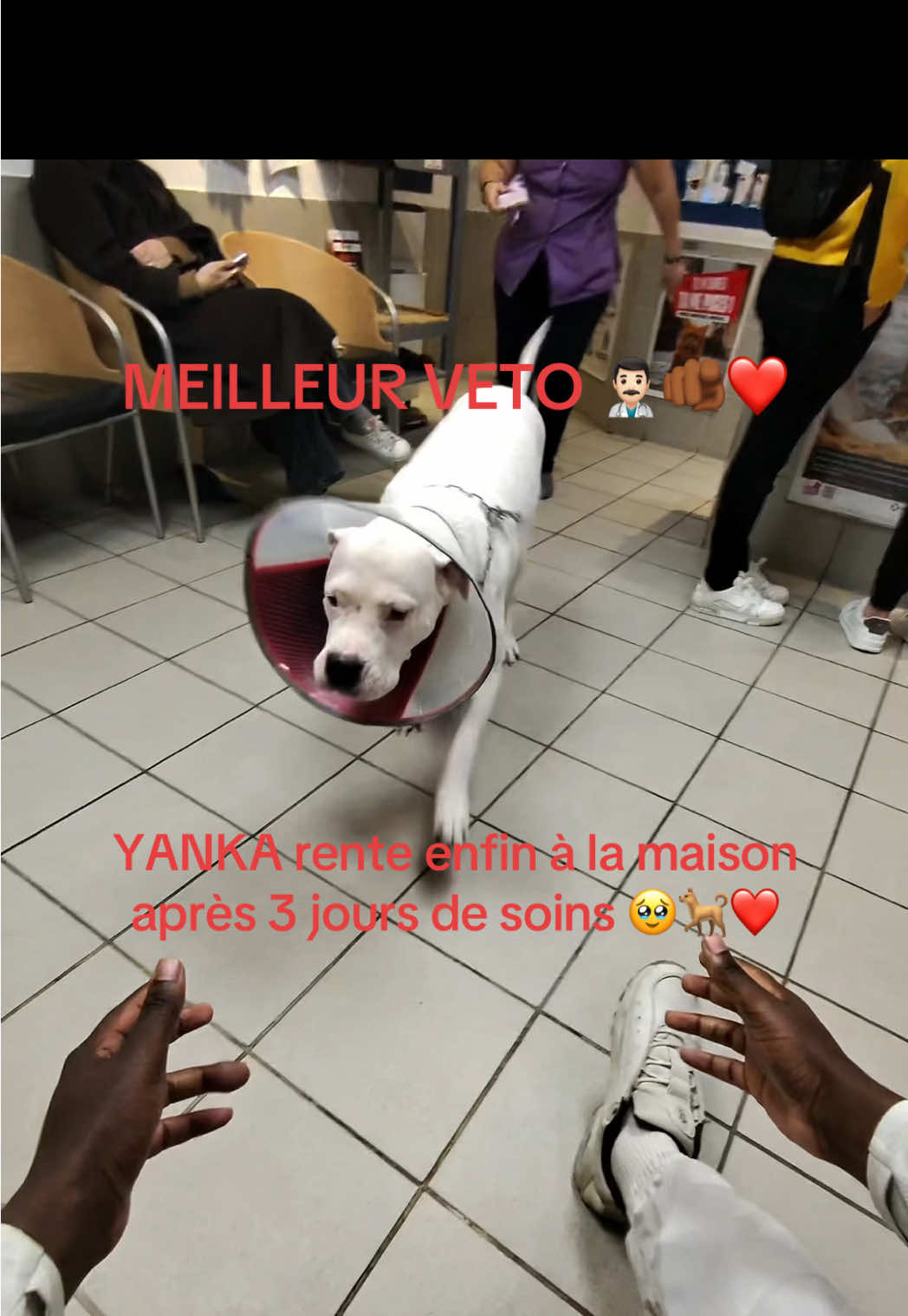 🙏🏾❤️🐕#pourtoiiii #veterinaire #yanka #viral #chien 