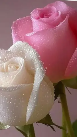 اللهم اجعل أيامنا تشرق تفاؤلا فطالما  أن القادم في غيب الله فتصوره جميلا فيأت بها الله وإن كانت مخبأة فالصبر باب لها والفاتح الله#معجزات_الدعاء #اليقين_بالله_يصنع_العجائب #دعاء #tiktoklongs #foryoupage  