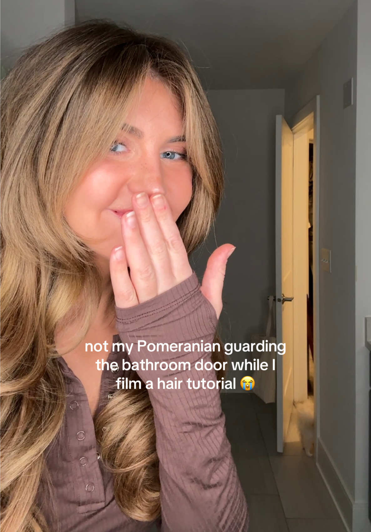 his little foot I caaaan’t 😭  #PetsOfTikTok #pomeranian #smalldog 