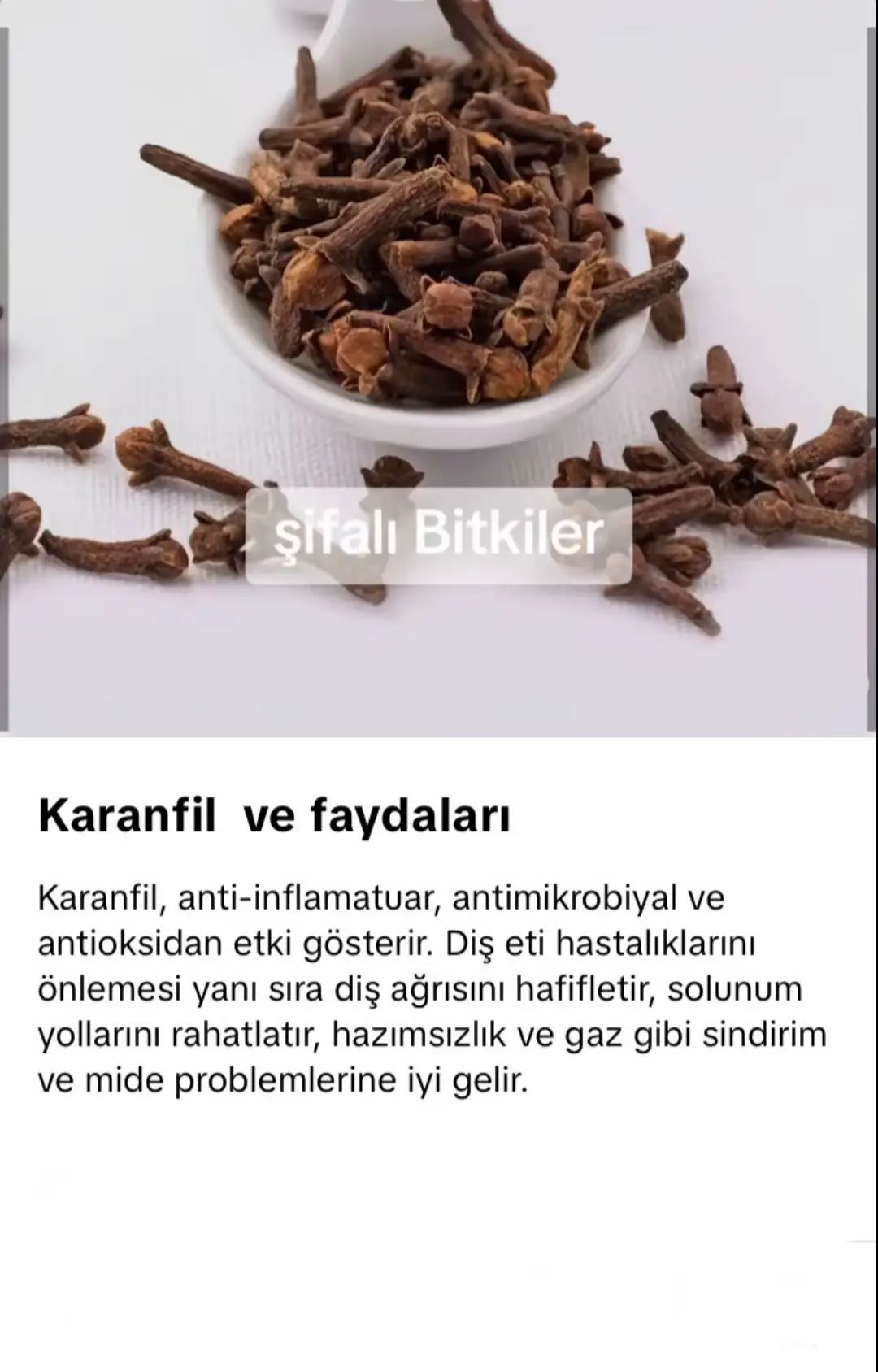 #karanfil #şifa #sağlık #faydalibilgiler #sağlıklıyaşam 