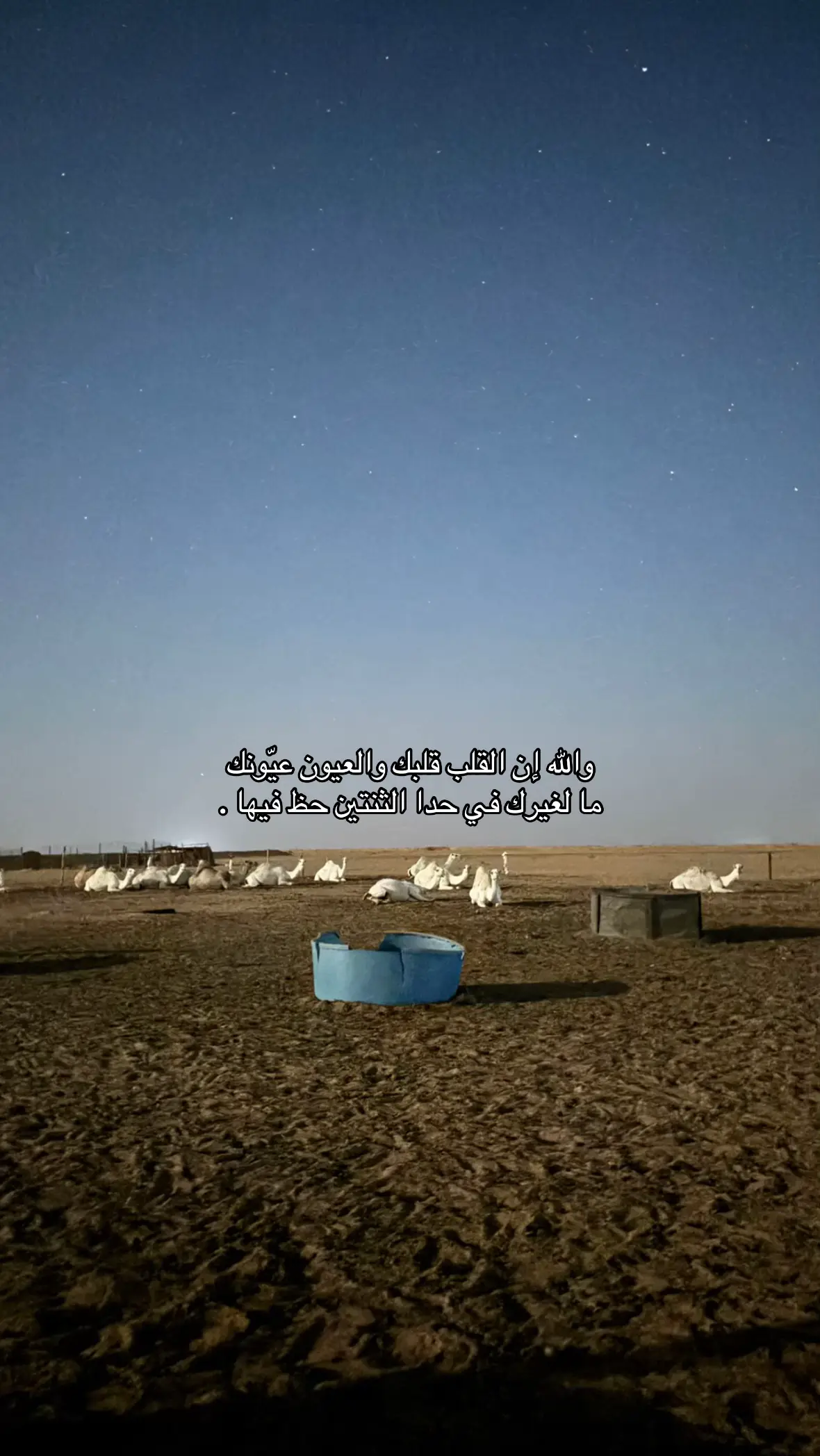 #fyp #explore #تصوير_ليلي #fyp #foryou #viral 