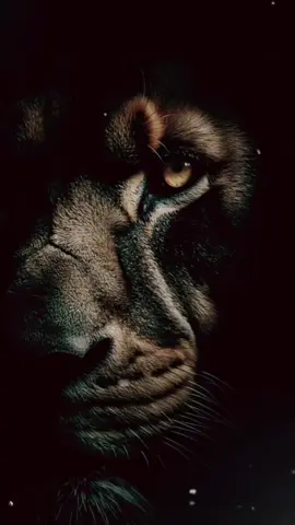 Trust The Process 😎🥰💯💫💯✊🏾✊🏾#CapCut#dailyencouragement  #trusttheprocess #trustGod #foryoupage❤️❤️ 