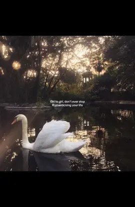 ❤️❤️🌟 #fyp #quote #thatgirl #dream #Love 