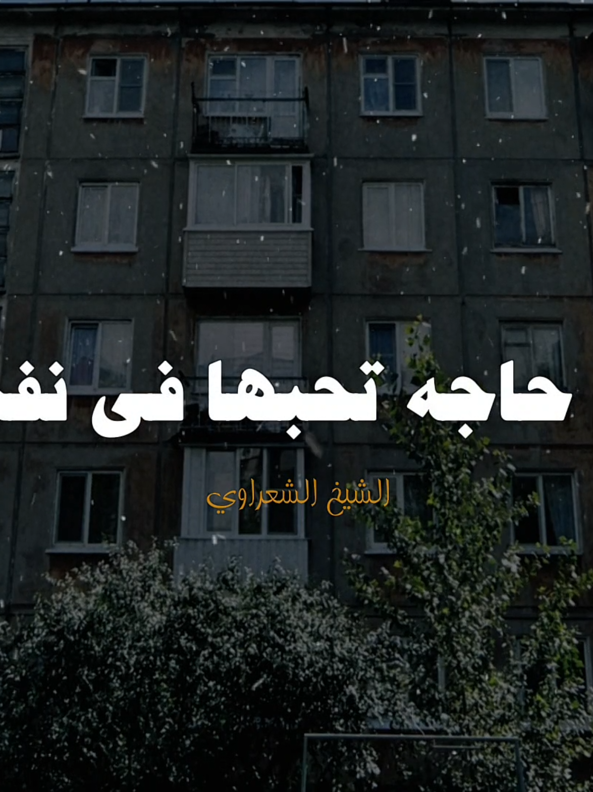 سلام نفسي 🤍✨️ #الشيخ_الشعراوي #fyp #ديني #تصميم_الحلواني🖤🎤 #سلام_نفسي 