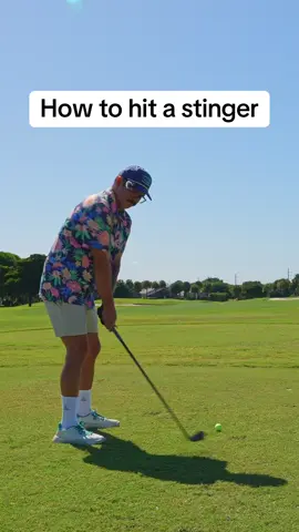 How do you hit a stinger? No, I’m asking. Like literally how do you do it. At least @prestigegolfperformance hooked me up with a sweet 2 and a half iron so I look good doing it. #golf #golfing #golftips 