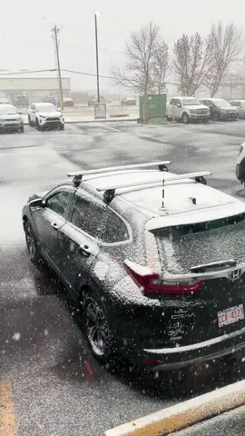 Naa Jud Ang Hinampak #winterishere #winterwonderland #snowfall #yyc #