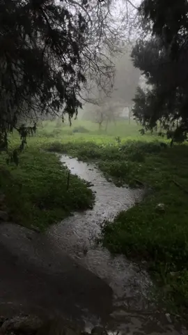 وانهي بالقصه يباسي | #foryoupage #fyp #بدون_موسيقى 