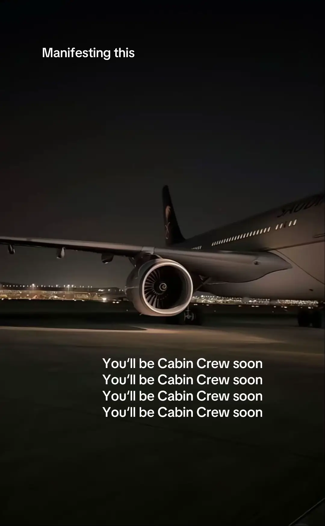 #aviation #cabincrew #tiktokviral #fyp #fypppppppppppppp 