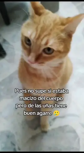 No se los recomiendo 🥹 