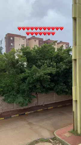 #كلية_التقنية_الطبية 🌧️💧❤️