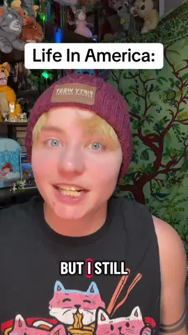 what living in america is like