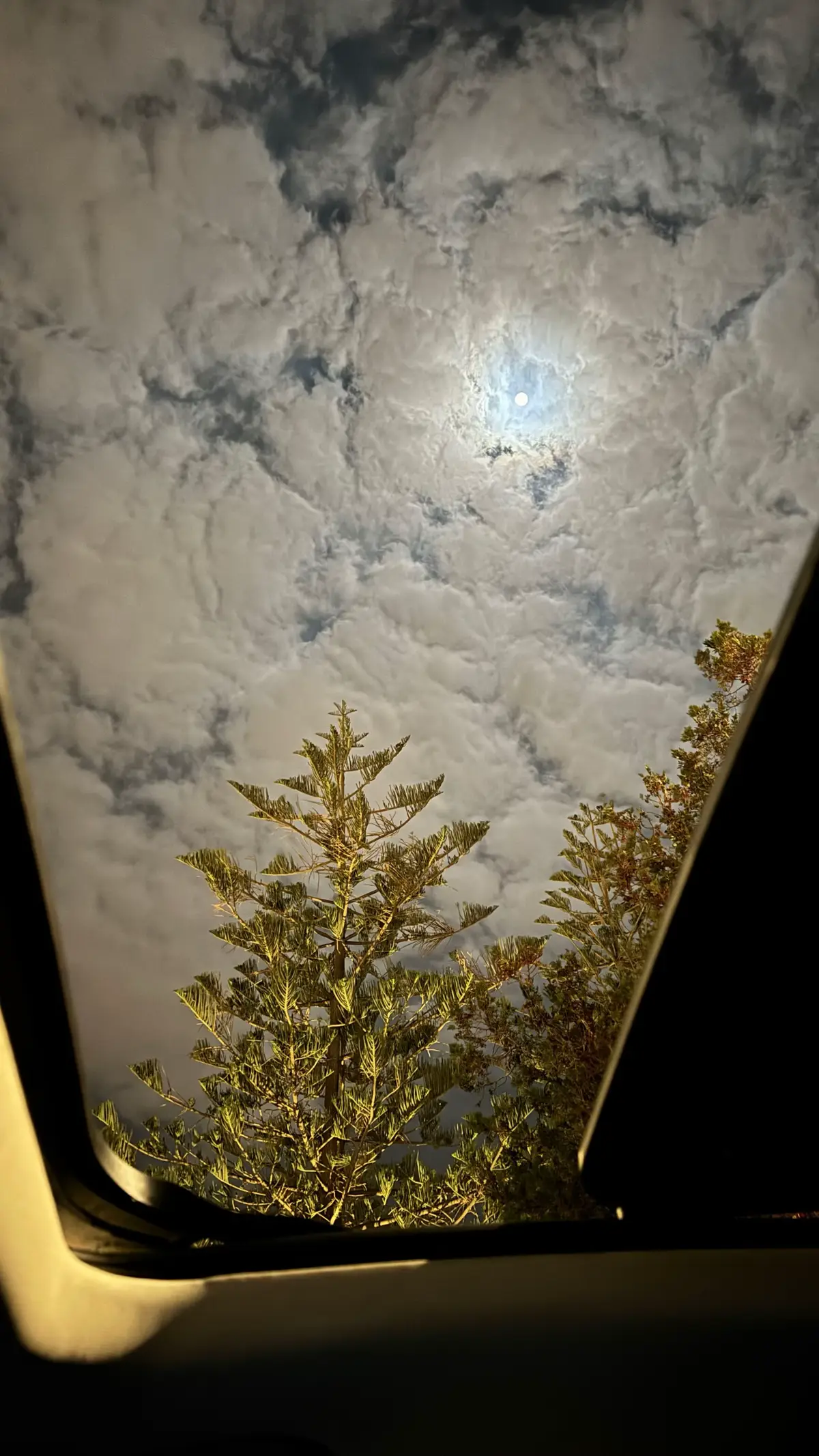 #fyp #اكسبلورexplore #مالي_خلق_احط_هاشتاقات🧢  #abha #قمرا 