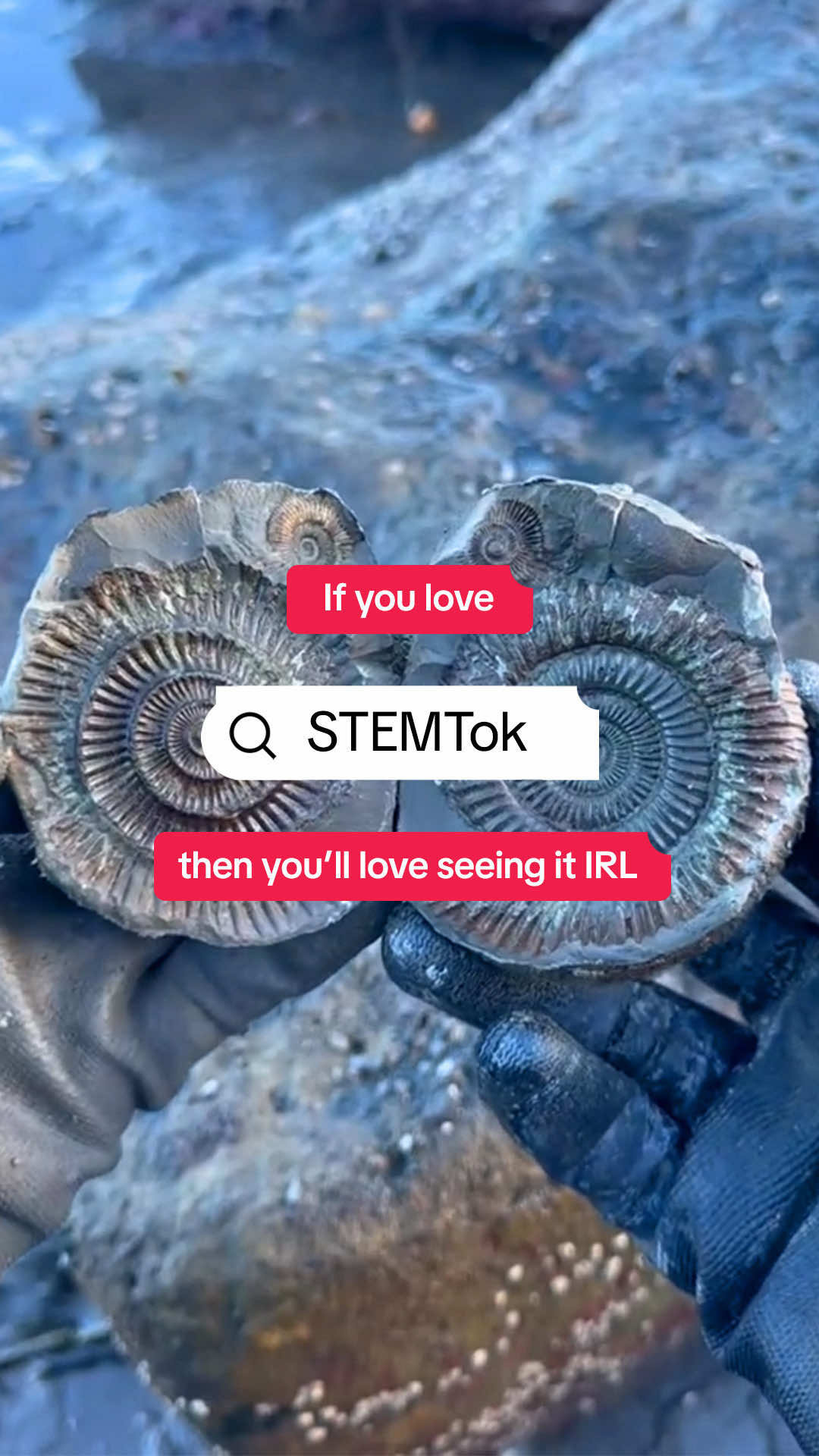 Houston STEMTok fans, a weekend of STEM Discovery is coming to the @Houston Museum NS this weekend and you're invited!