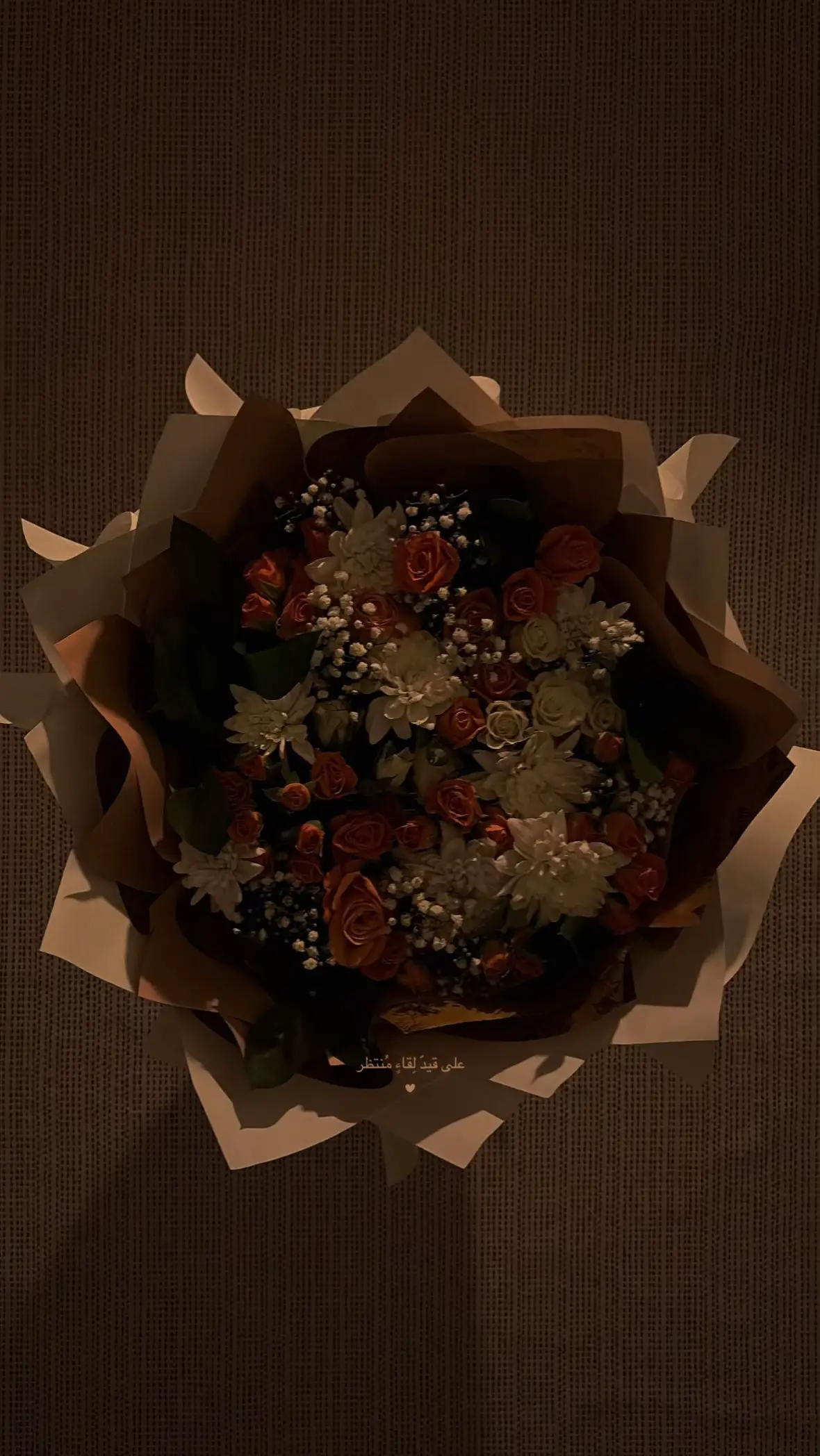 #اكسبلورexplore #explore #عشوائيات #ورد #اكسبلور 