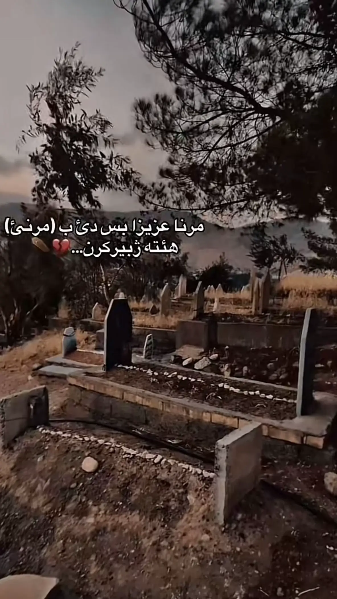 #دهوك_زاخو_سليماني_ئاكري_ئامیدی_هولیر #duhok_zaxo_amedi_semel_akre #duhok_zaxo_amedi_semel_akre_hawler #دهوك_duhok 