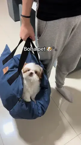 Bolsa de transporte pet 3 em 1. Além de ser bolsa, ela é cadeirinha de carro para cachorro e cama para pet. 😍 #dicaspet #maedepet #fyp #tiktokshop #shitzu 