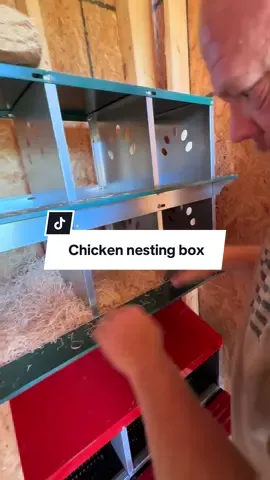 Replying to @Tony i’ve had a ton of questions about our chicken nesting box so I thought I would tag it for you guys again! #backyardchickens #chickencoop #chickensoftiktok #chicken #henhouse 