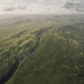 Capybara kinda colddddd #capybara #capybarameme #middlefingermood #animalsofttiktok #higgsfield 