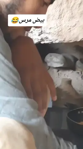 #هاشمية  #قرشيه  #مجرد_ذوق  #مالي_خلق_احط_هاشتاقات 