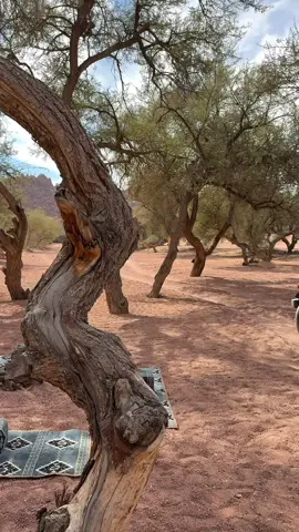 مكان يعجز الوصف عنه ❣️#حائل #اكسبلور #explore 