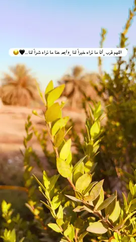 🤲🥹 #تصويري #تصويري_احترافي_الاجواء👌🏻🕊😴 #اكسبلورpov #مشاهدات #غيوم 