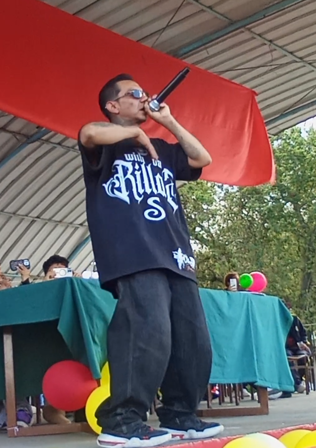 🇧🇯👑🥷🏻#musica #laprincesayeldelincuente #centraltecnico💛❤💚  #virali #paraty 