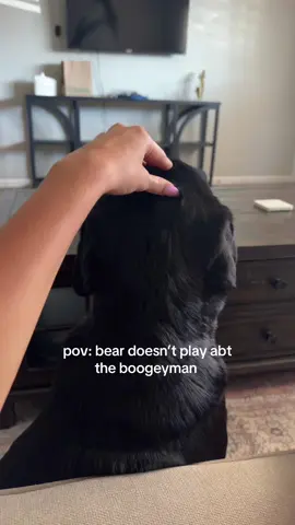 Baby bear @taylor #lab 