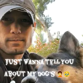 Just wanna tell you about my dog's 🤦🥹#fypジviraltiktok #trendingvideo #jordandaniel #canad #tiktokgiaitri 
