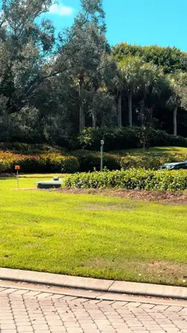 #chevy #camaro #fypシ゚viral #fyp 