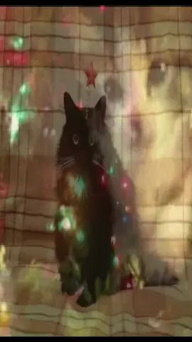 who’s excited #christmas #fyp #targetaudience #sillycat 