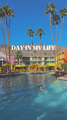 really wishing I was having dinner with that view than staring at my laptop screen rn a glimpse into the day before the Joshua tree half and I must say - it was such a fun filled recovery day! I can’t get over how much fun this trip was and I have brook and starter pack running to thank for that 💗 #diml #dayinmylife #halfmarathon #activelifestyle #fyp 