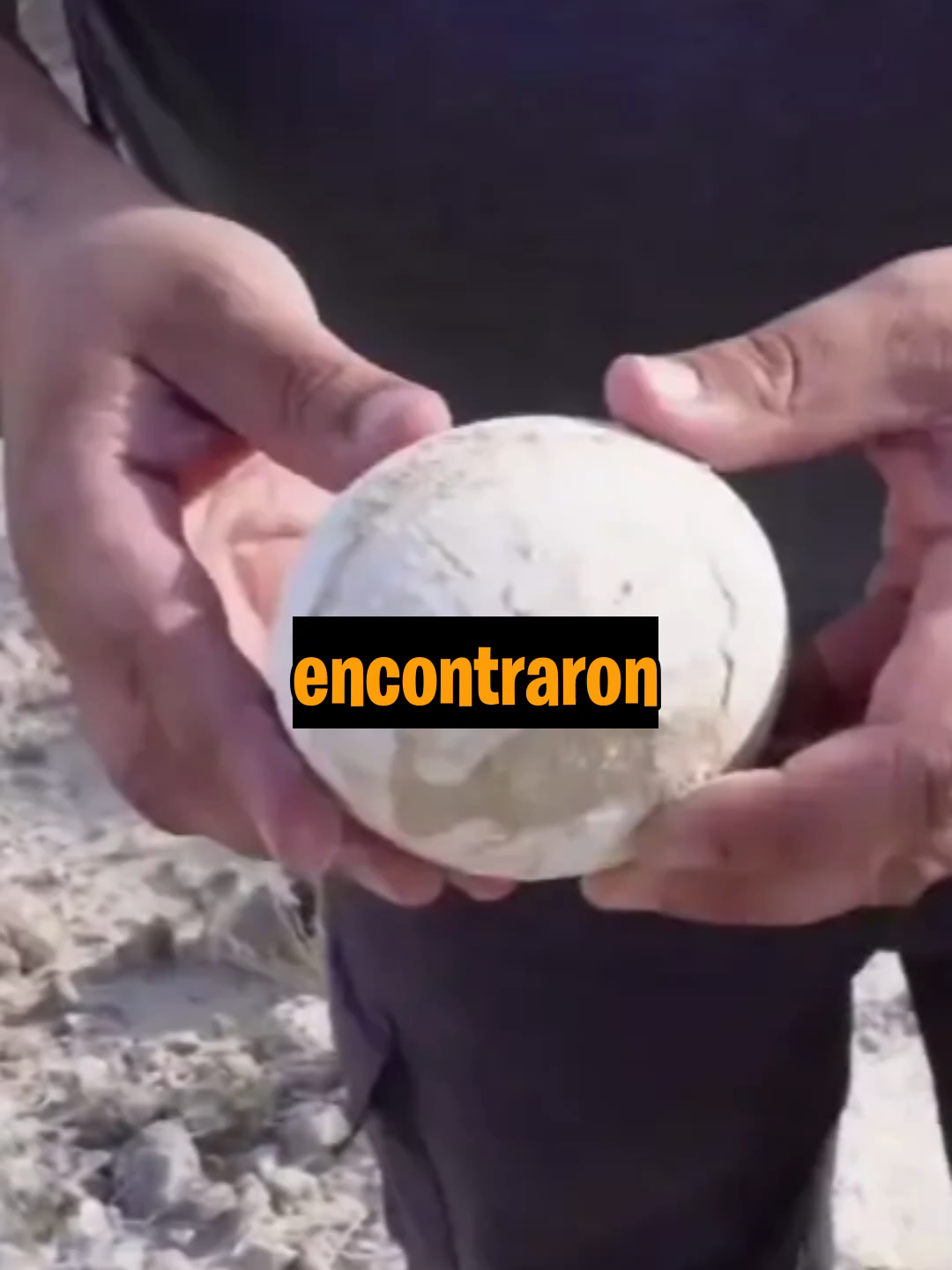 DINOSAURIO ANTES QUE GTA 6 #historia #HistoryTime #curiosidades #videojuegos #pelicula #HISTORIA #MEMES #colegio #comedia #amigos #famosos #videojuego #polemica #salseo #noticias #serie #latinoamerica #series #clips