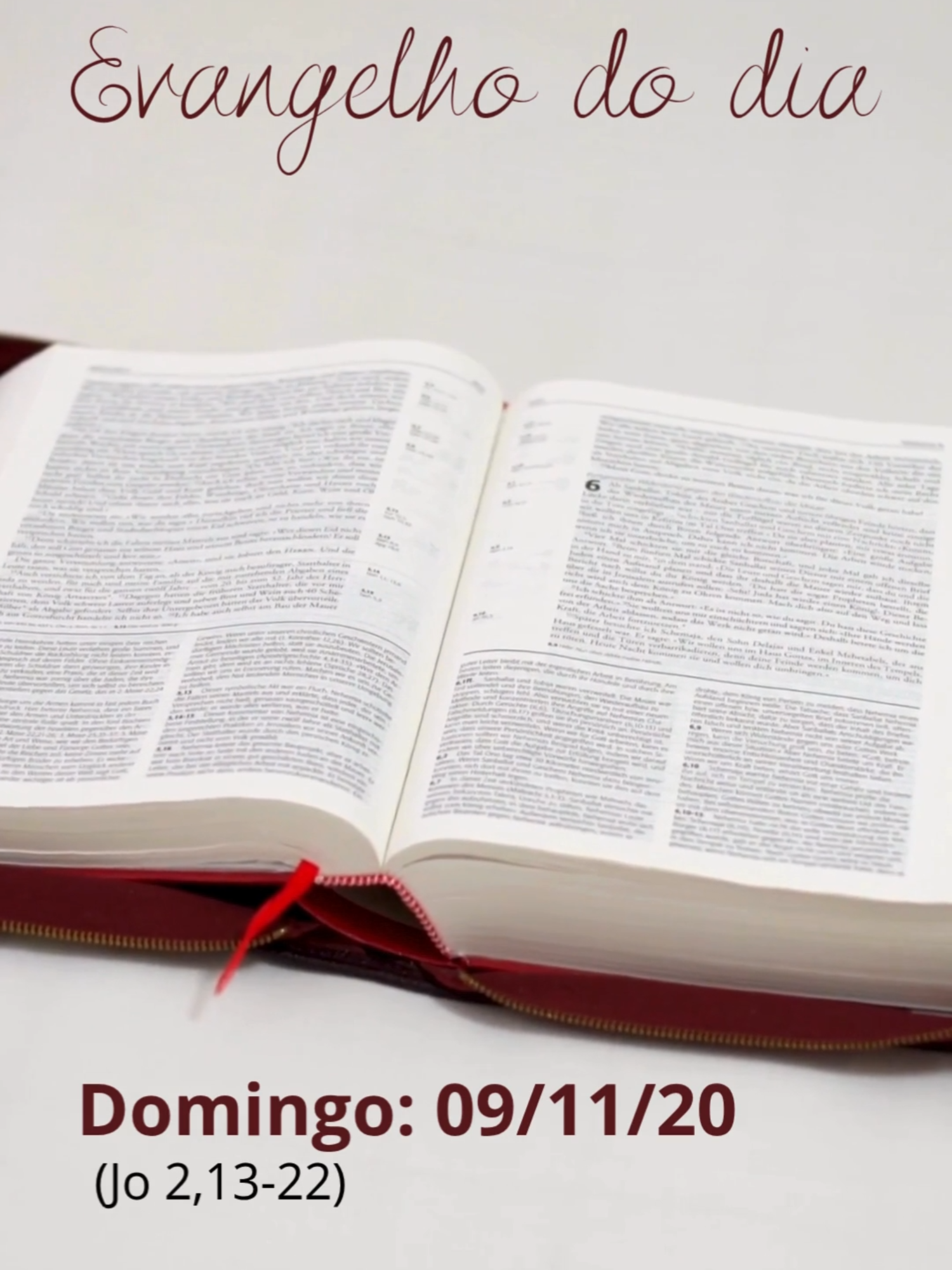 Evangelho (Jo 2,13-22) 13 Estava próxima a Páscoa dos judeus e Jesus subiu a Jerusalém. 14 No Templo, encontrou os vendedores de bois, ovelhas e pombas e os cambistas que estavam aí sentados. 15 Fez então um chicote de cordas e expulsou todos do Templo, junto com as ovelhas e os bois; espalhou as moedas e derrubou as mesas dos cambistas. 16 E disse aos que vendiam pombas: 