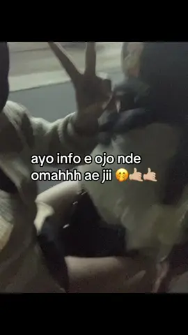 wayae iki  #fyppppppppppppppppppppppp #info #malming #infoen #Halo #sez #efyepe #masukberanda #katakata #fypage #pageforyou #pageforyou_🔥 #malang24jam 