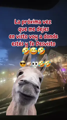 #quetachendo #🤣🤣🤣🤣 #chistesdelburro #lasburradas #lasburradas 