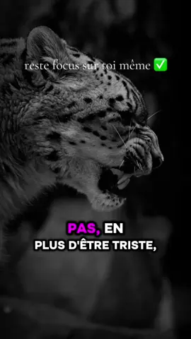 #motivation #conseil #toutlemonde 