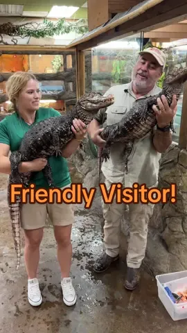 So Jaime came to the zoo today, and so I showed her around and together we took turns feeding Darth and Gomer! The two boys were rowdy as they often are but we all had fun today. 