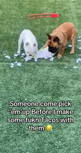 Ima throw em away I’m done with them 😪  #dog #petlover #fypシ #smh #doglife 